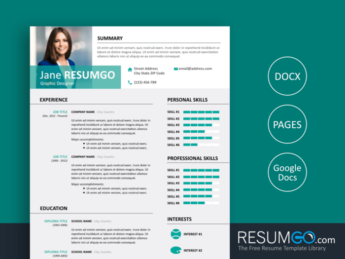 ALECTA - Professional Resume Template | ResumGO