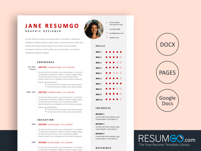 HEKATE Contemporary Resume Template ResumGO