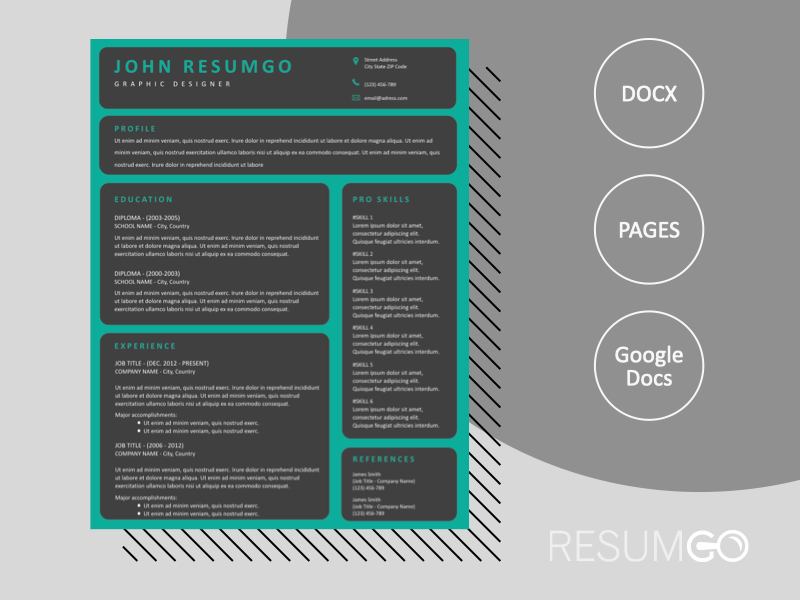 ZEPHYR Dark Grid Resume Template ResumGO
