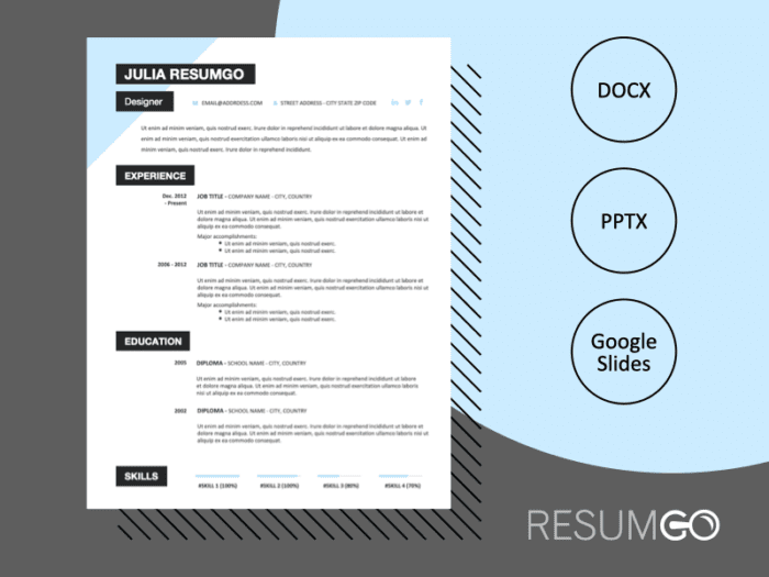 PERRY - Free CV Template With a Sky-Blue Triangle in the Top Left Corner - ResumGO