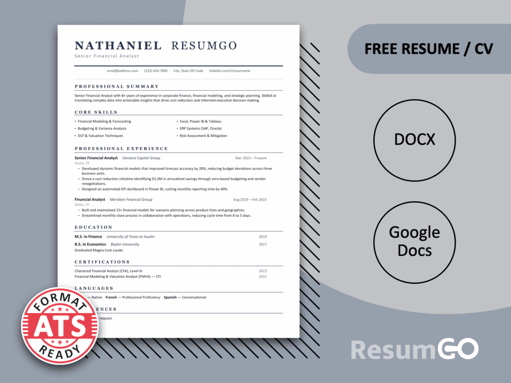 Iwaki Professional ATS Resume Template with clean black design for Word and Google Docs