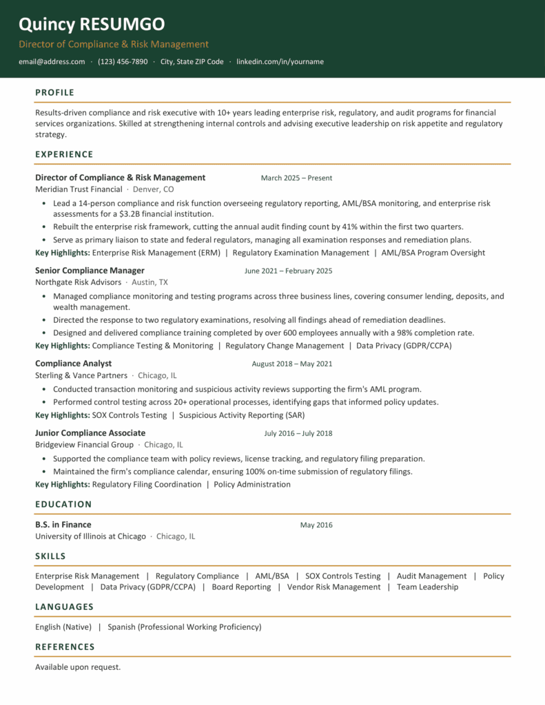 Qeshm Clean Vanguard Resume Preview for Word Preview of the Qeshm Clean Vanguard resume template for Word and Google Docs with a clean single-column design