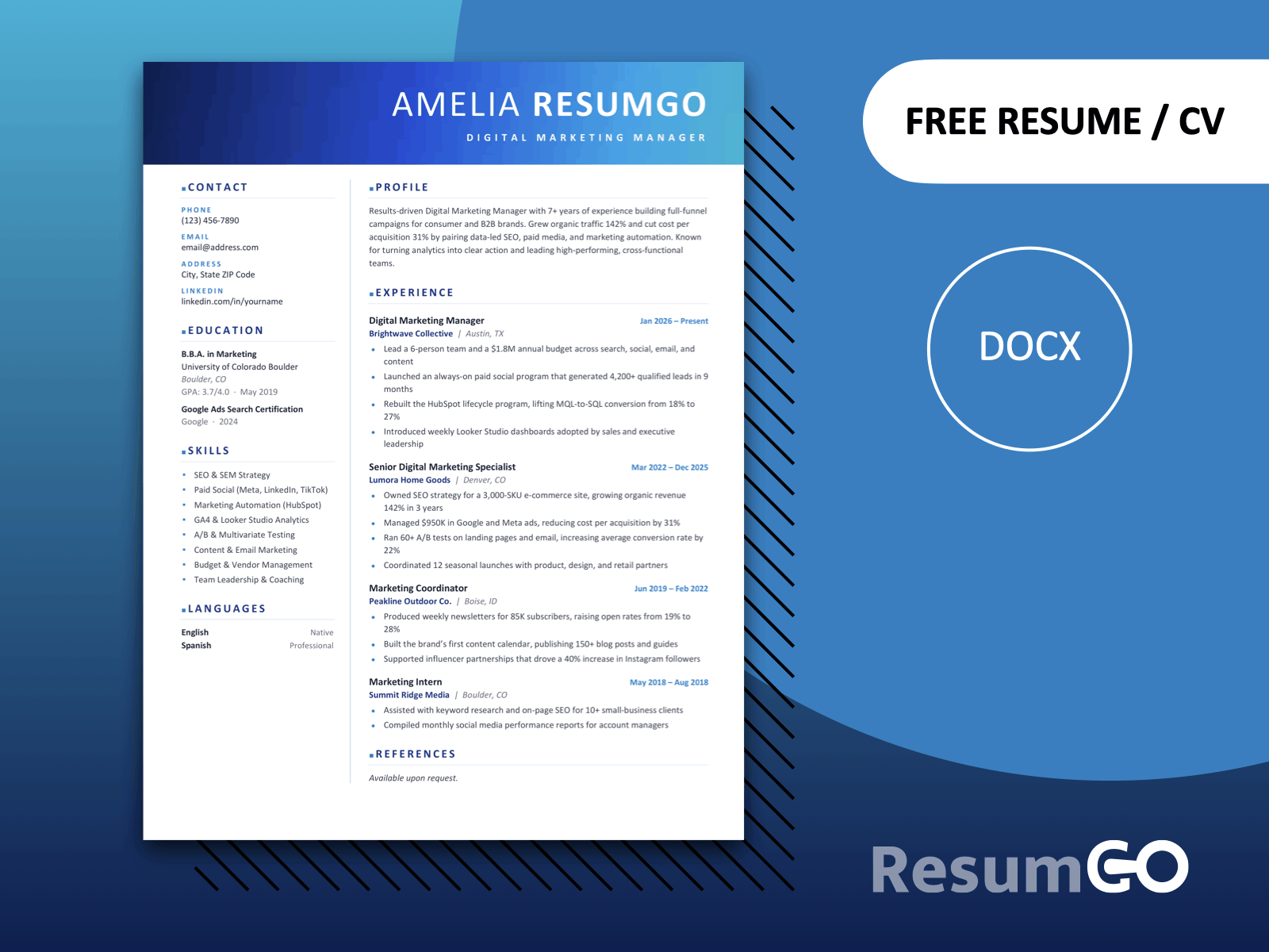 Apollo blue gradient header resume template for Word, a modern one-page CV design with a clean two-column layout.